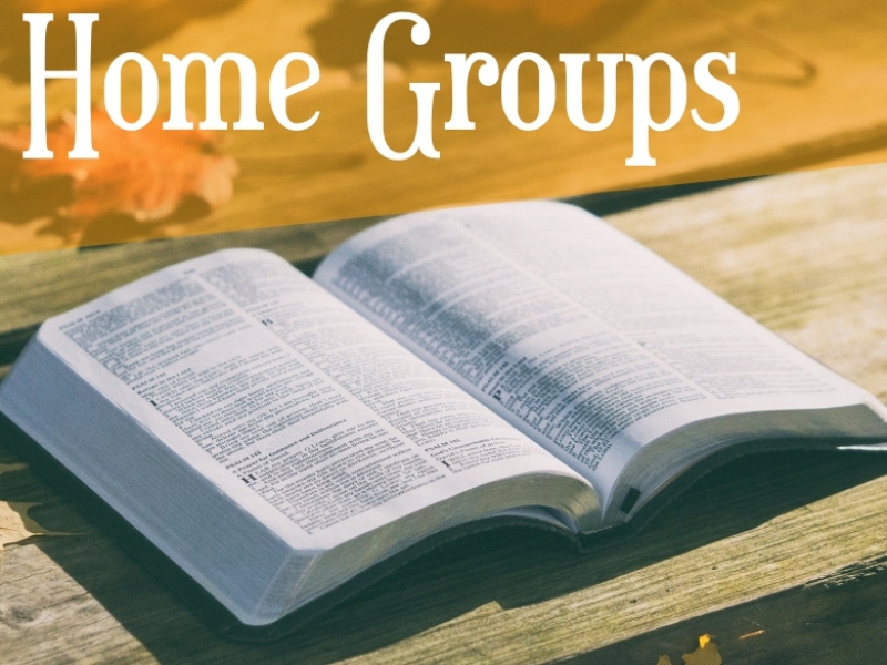 Home groups Icon